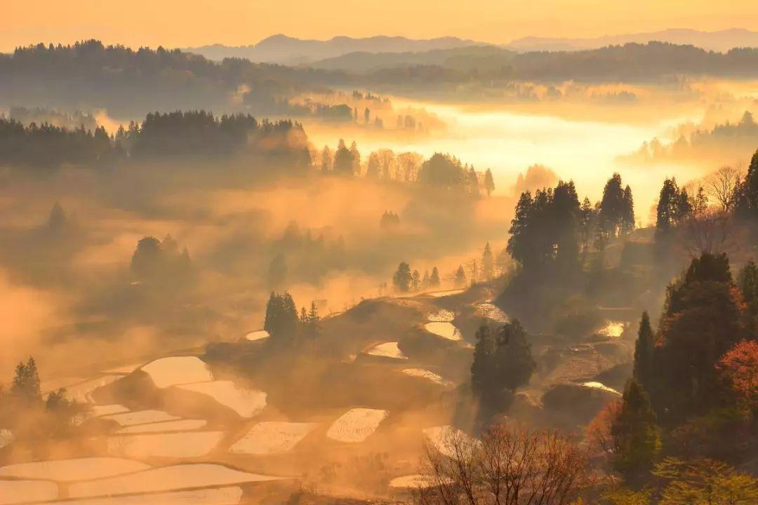 小汪汪