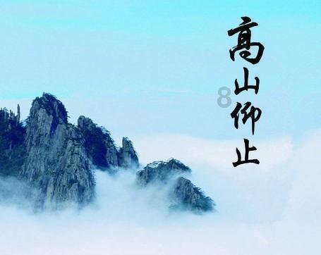 爱吃叶子的毛毛虫