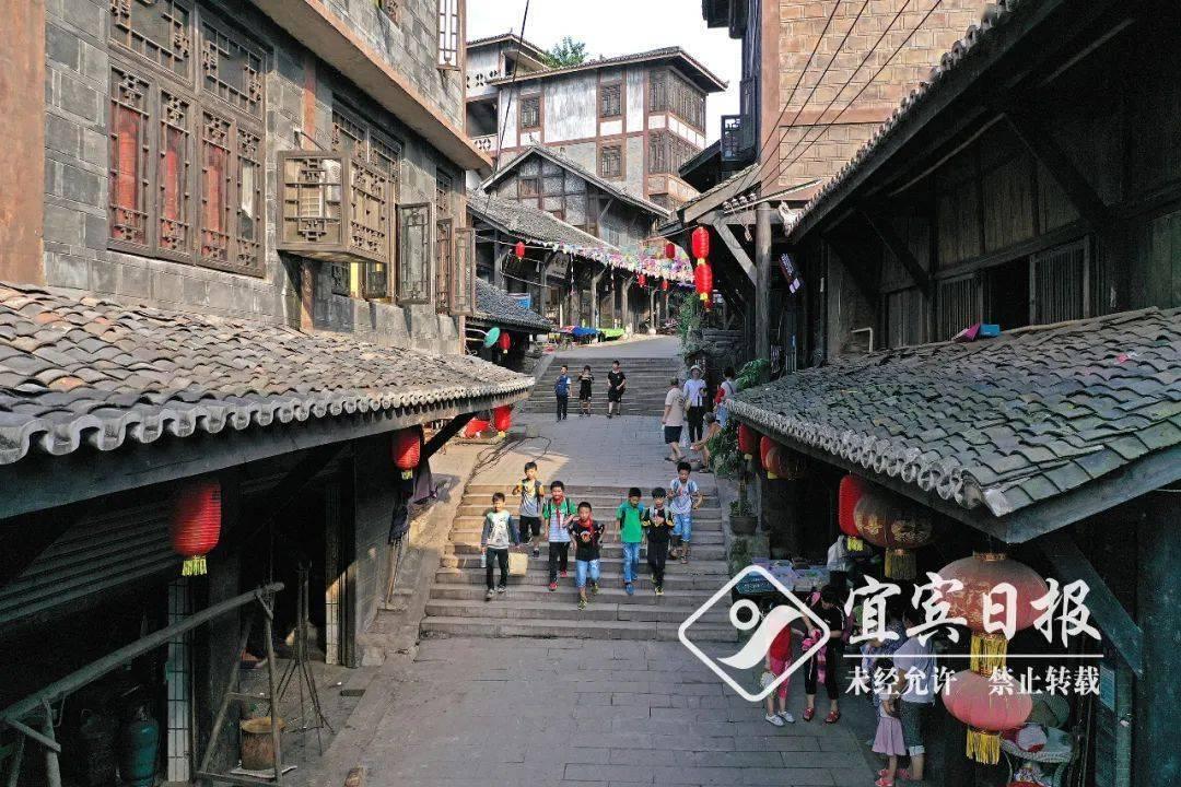 如果你被人欺负了，你该怎么办？